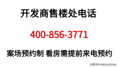 能够向他们征询关于汇金国际金融核心的任何问